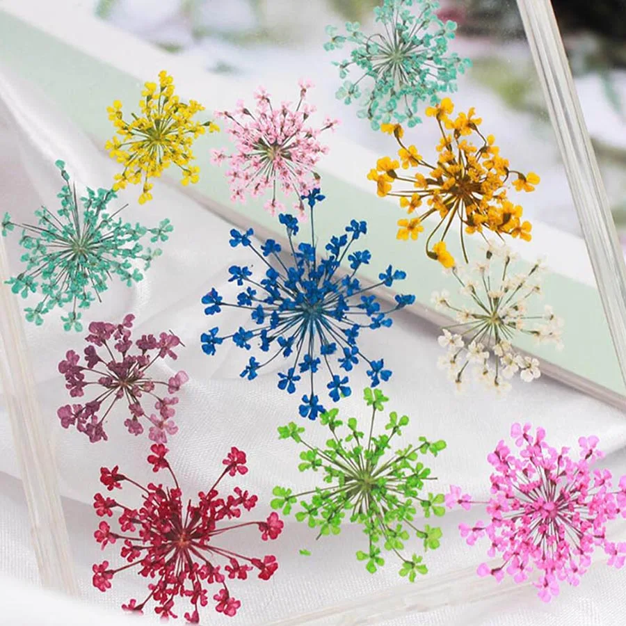 прессованные сушеные 20-25 мм  – обзор и цена Dried Flower Bookmark