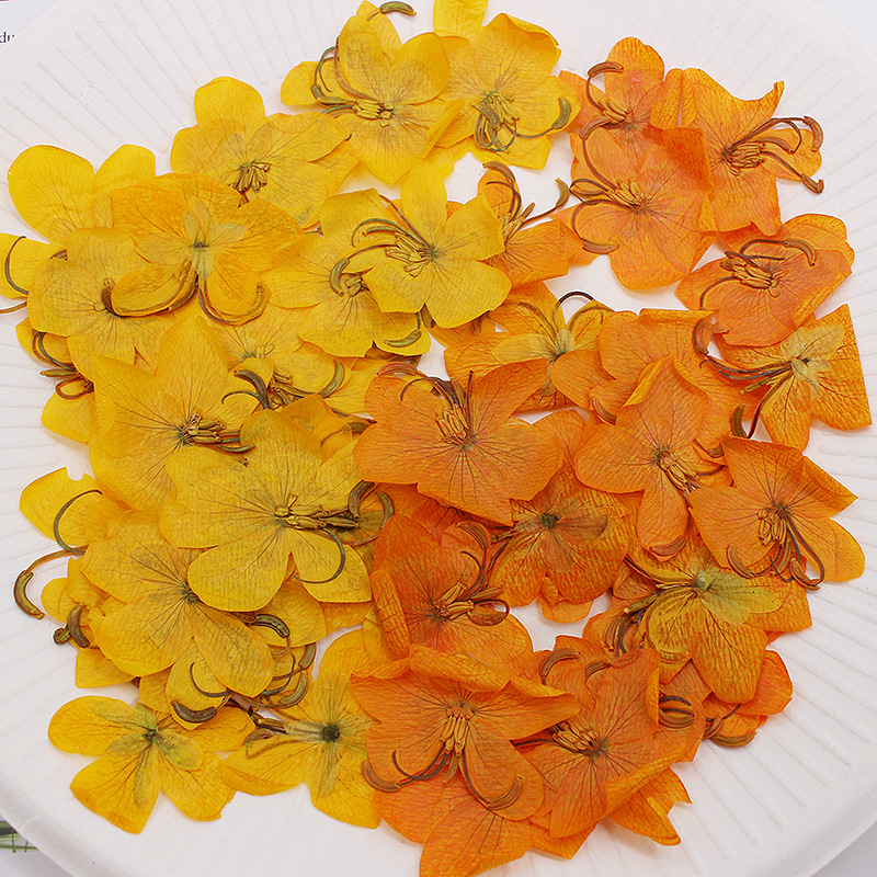 60 шт. сушеных прессованных цв – обзор и цена Dried Flower Bookmark